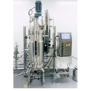 Bioreactor-Fermentor
